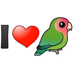 I Love Peach-faced Lovebirds
