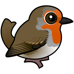 European Robin