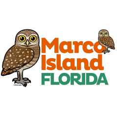 Marco Island Burrowing Owls