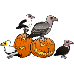 Halloween Vultures