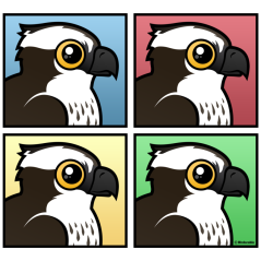 Four Color Osprey