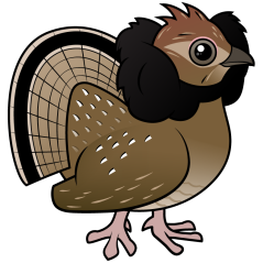 Birdorable Ruffed Grouse