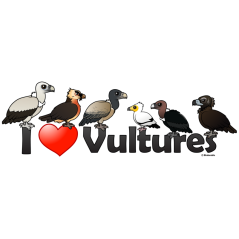 I Love Vultures (Eurasia)