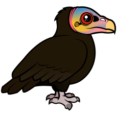 Lesser Yellow-headed Vulture