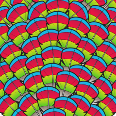 Hawk-headed Parrot Feathers