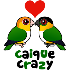 Caique Crazy