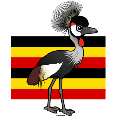 Grey Crowned-Crane of Uganda