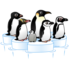 Penguin Party