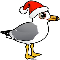 Santa Ring-billed Gull