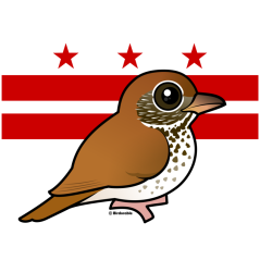 Official Birdorable of Washington, D.C.: Wood Thrush