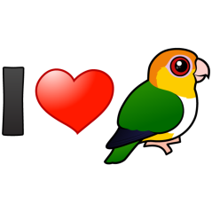 I Love White-bellied Parrots