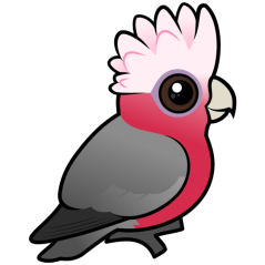 Birdorable Galah (crest up)
