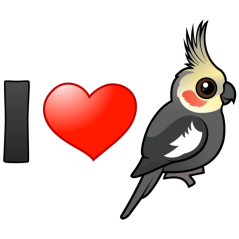 I Love Cockatiels
