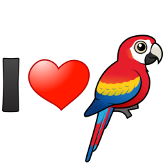 I Love Scarlet Macaws