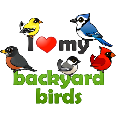 I Love My Backyard Birds