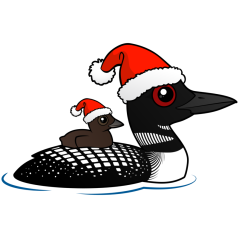 Common Loon as Santa
