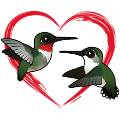 Ruby-throated Love