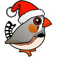 Zebra Finch Santa