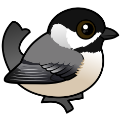Carolina Chickadee