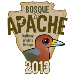 Bosque del Apache