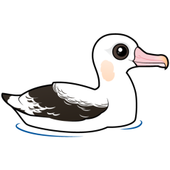 Wandering Albatross