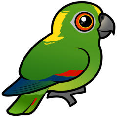 Birdorable Yellow-naped Parrot