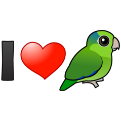 I Love Pacific Parrotlets