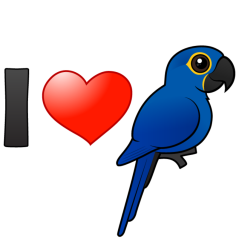 Customizable I Love Hyacinth Macaws
