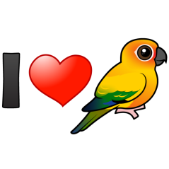 I Love Sun Conures