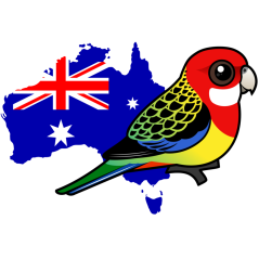 Eastern Rosella of Australia