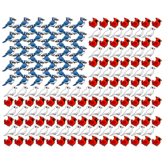 U.S. Flag of Birds