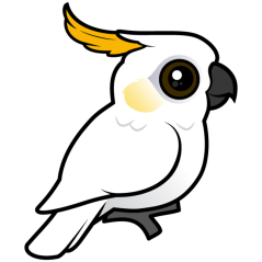 Yellow-crested Cockatoo (crest down)