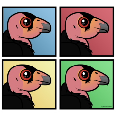 Four Color California Condor