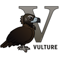 V is for Vulture