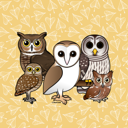 Five Different Birdorable Cartoon Owls