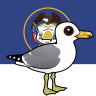 State Birdorable of Utah: California Gull