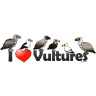 I Love Vultures (Africa)