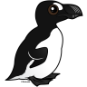 Great Auk