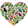 Parrot Heart