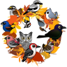 Autumn Wreath of North American Birds