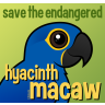Save the Endangered Hyacinth Macaw