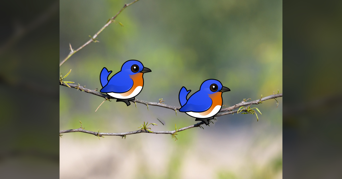 Fascinating Facts About Bluebirds | Birdorable Blog