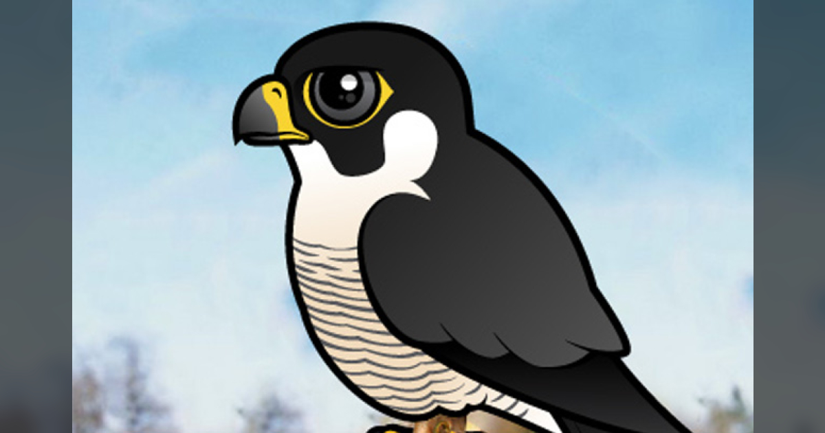 Feathered Speed Demons: Tracking the Fastest Birds