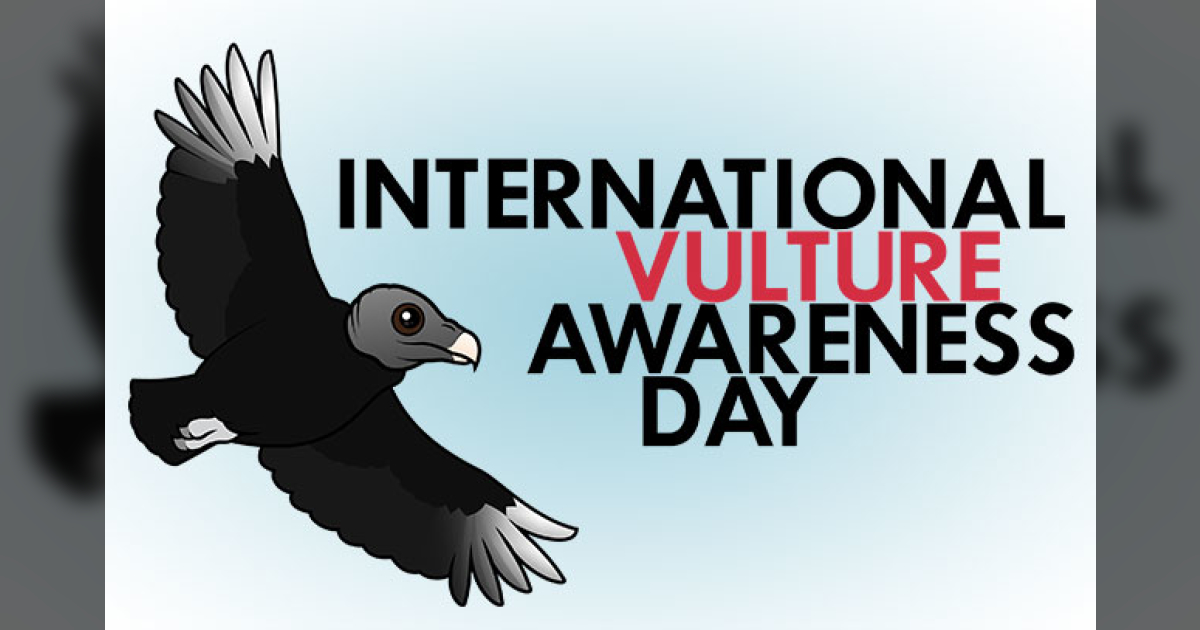 Gear Up for IVAD 2025 with Birdorable Vulture Tees