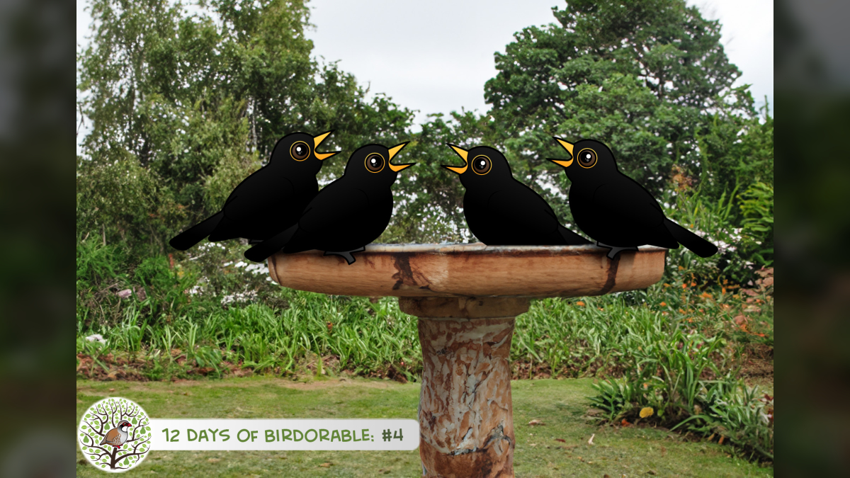 Celebrate the Holidays with Birdorable's Four Calling Blackbirds