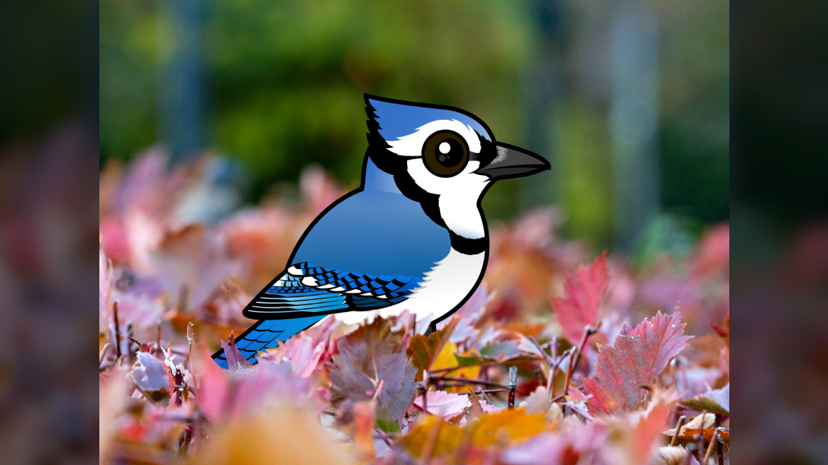 Hello Fall Birds Birds and Autumn: Feeding, Sheltering, and Surviving in Fall