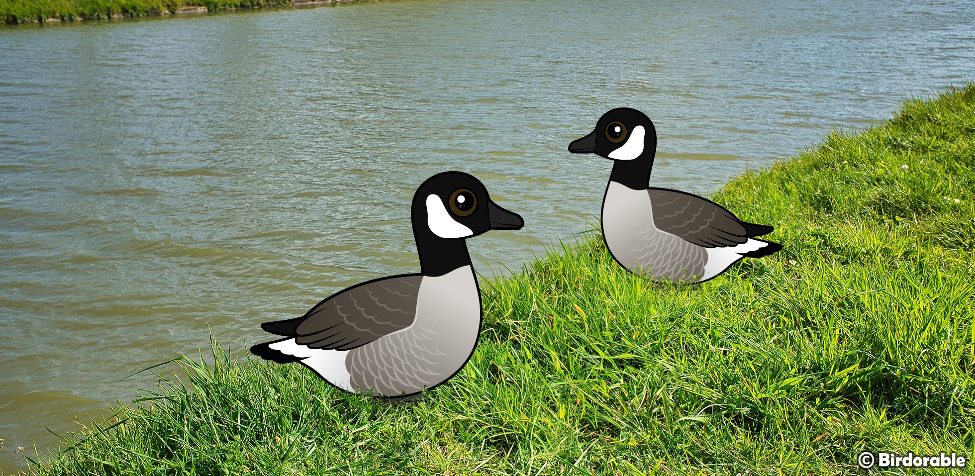 A Gaggle of Facts: The Fascinating World of Canada Geese