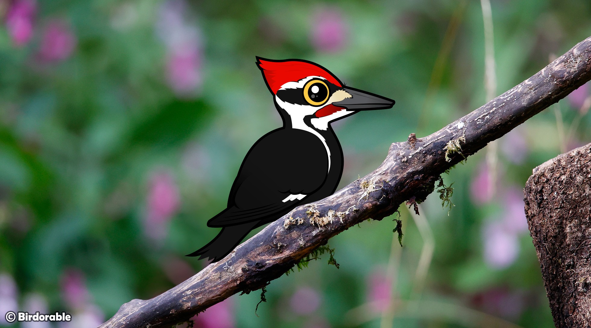 Interesting Facts About Pileated Woodpeckers | Birdorable Blog