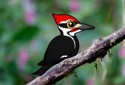 Cute Pileated Woodpecker by Birdorable