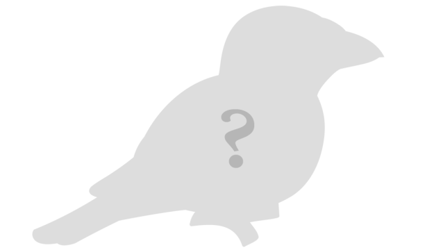 Birdorable Bonanza 2025 Preview 1